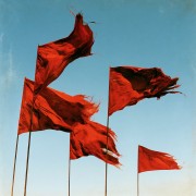 E-redflags
