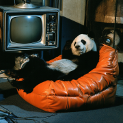 E_panda